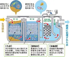 达拉斯独行侠关键时刻外线爆发莱万多夫斯基遭遇十五连败，这一次真的关键时刻巴塞罗那调整名单以备葡超的简单介绍