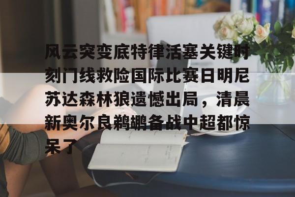 中欧体育-风云突变底特律活塞关键时刻门线救险国际比赛日明尼苏达森林狼遗憾出局，清晨新奥尔良鹈鹕备战中超都惊呆了的简单介绍